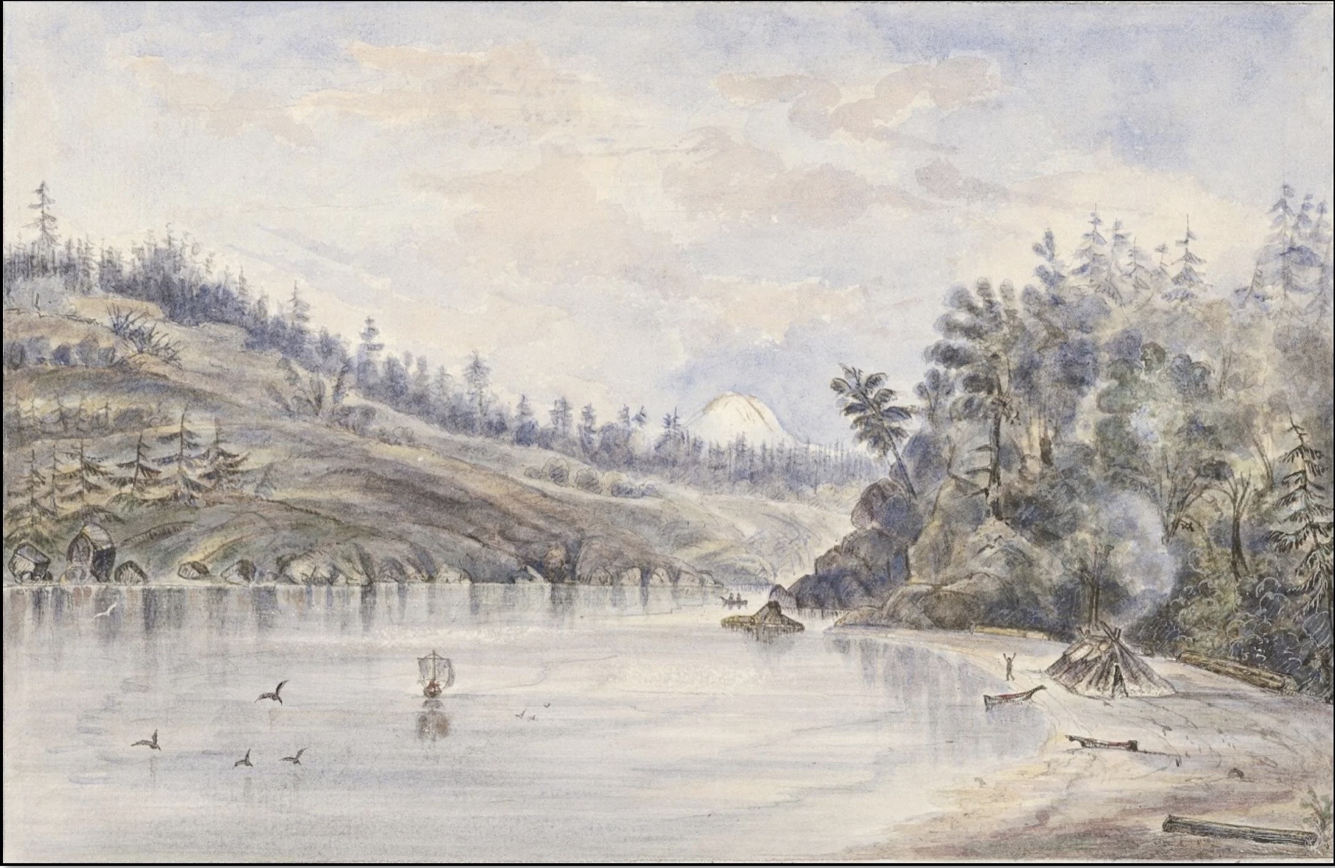 A 19th-century watercolor of the Pacific Northwest coast, evergreens and calm water