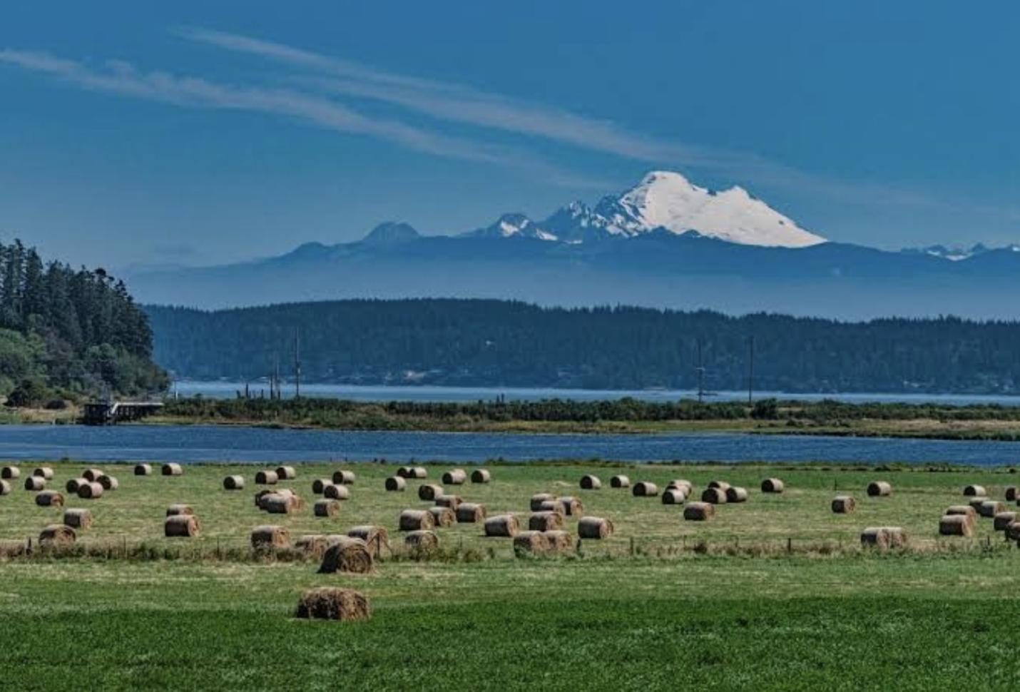 Whidbey Island, Washington: hay bales in a field, water and evergreens beyond, Mount Baker in the distance