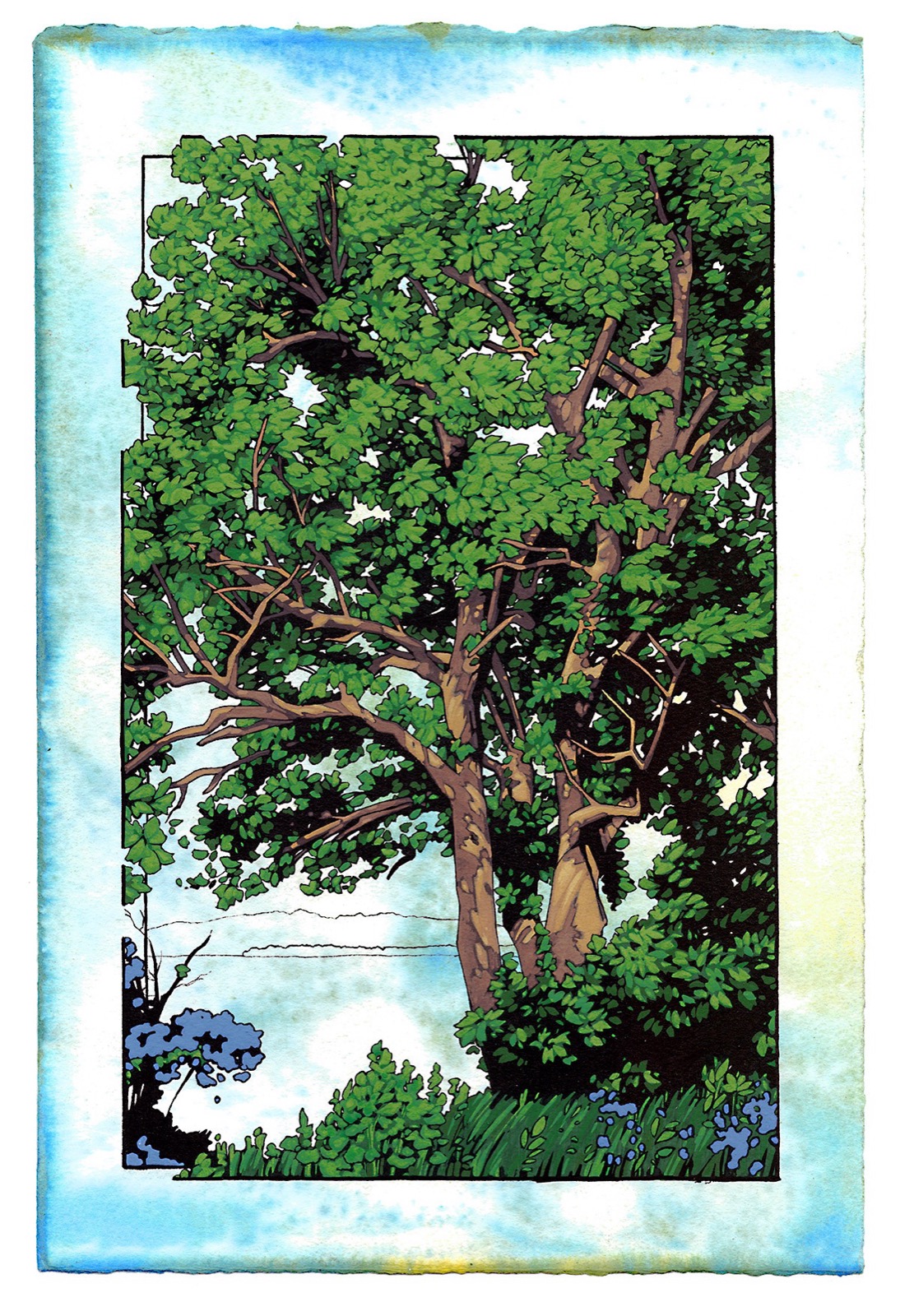 An ink and gouache painting of a tree with brown trunks and green leaves above a pale blue sky, framed in black
